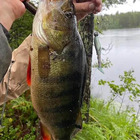 Villa Saimaa Raikala *