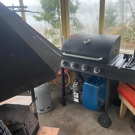 Saimaa Raikala Villa *