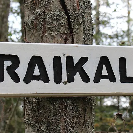 Fishing Raikala On The Saimaa *