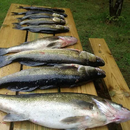 Villa Saimaa Raikala *