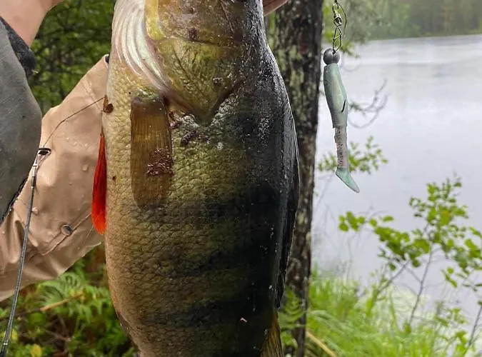 Willa Saimaa Raikala *