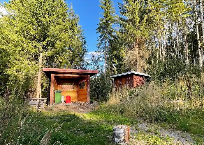 Saimaa Raikala * Vuoriniemi