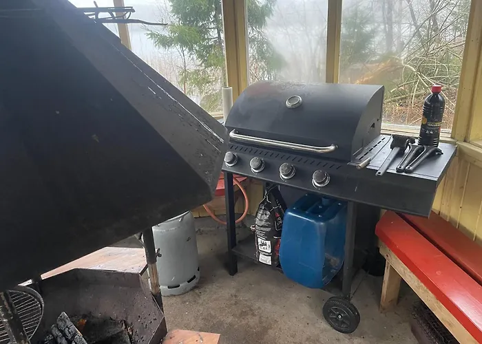 Saimaa Raikala Willa *