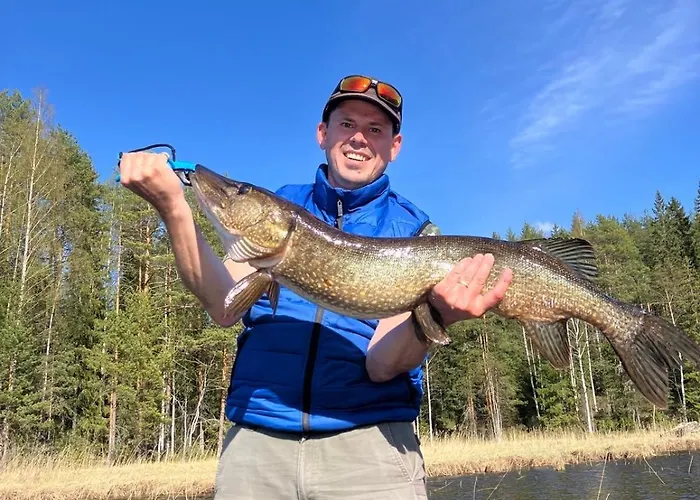 Willa Saimaa Raikala Vuoriniemi