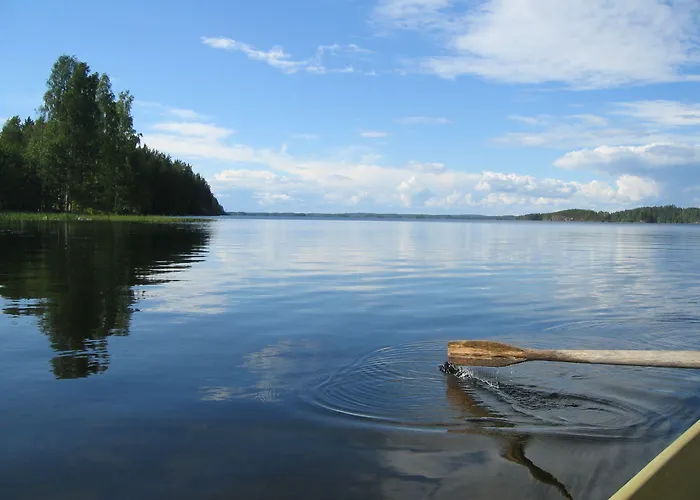 Saimaa Raikala Willa *