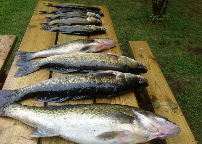 Willa Saimaa Raikala *